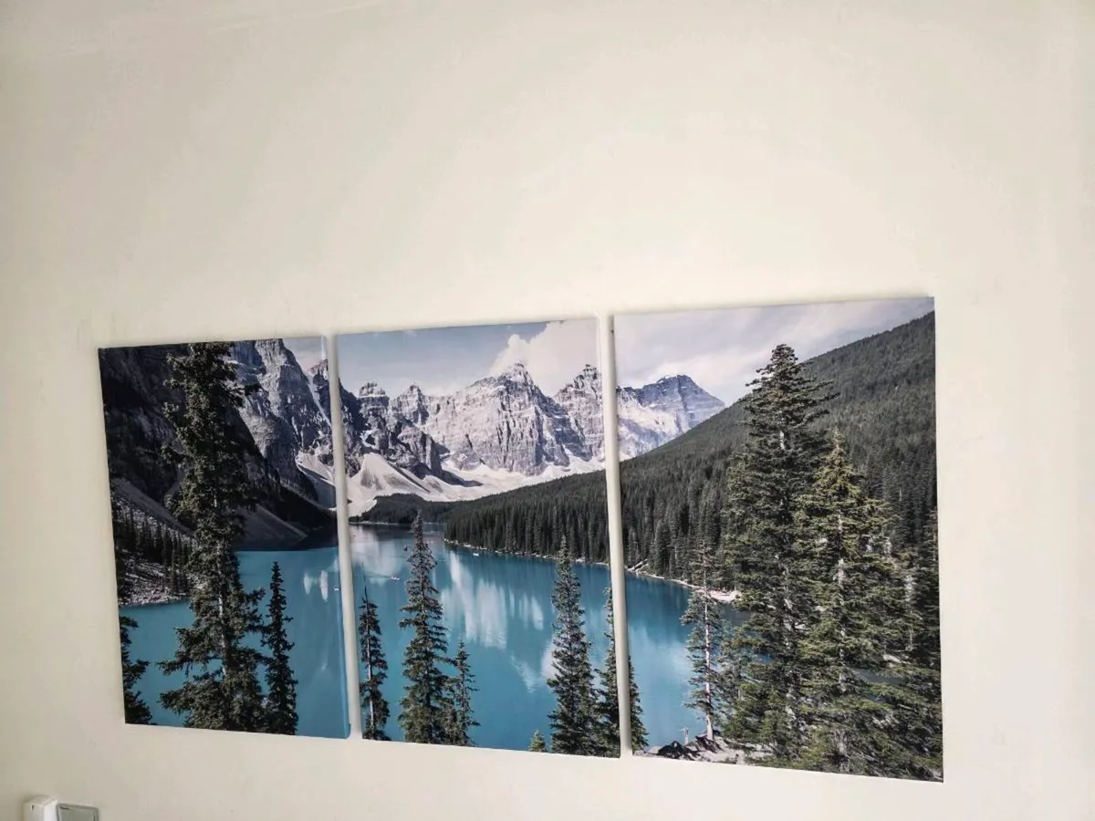 3 large canvas 46x66cm each - Image 1