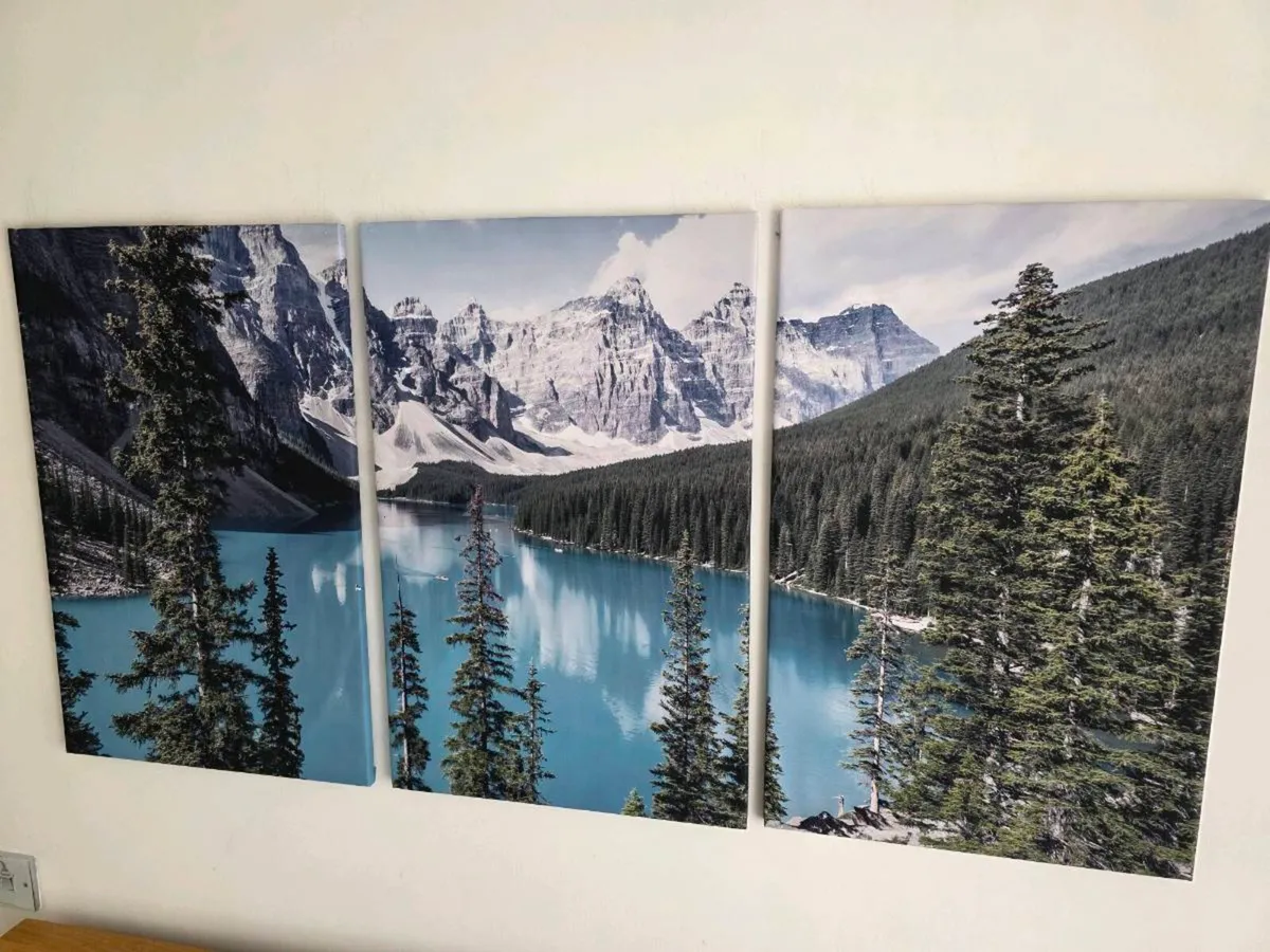 3 large canvas 46x66cm each - Image 2