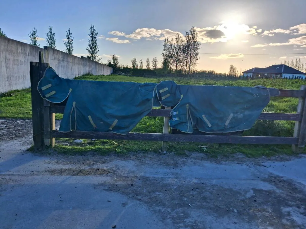 Horse rugs - Image 1