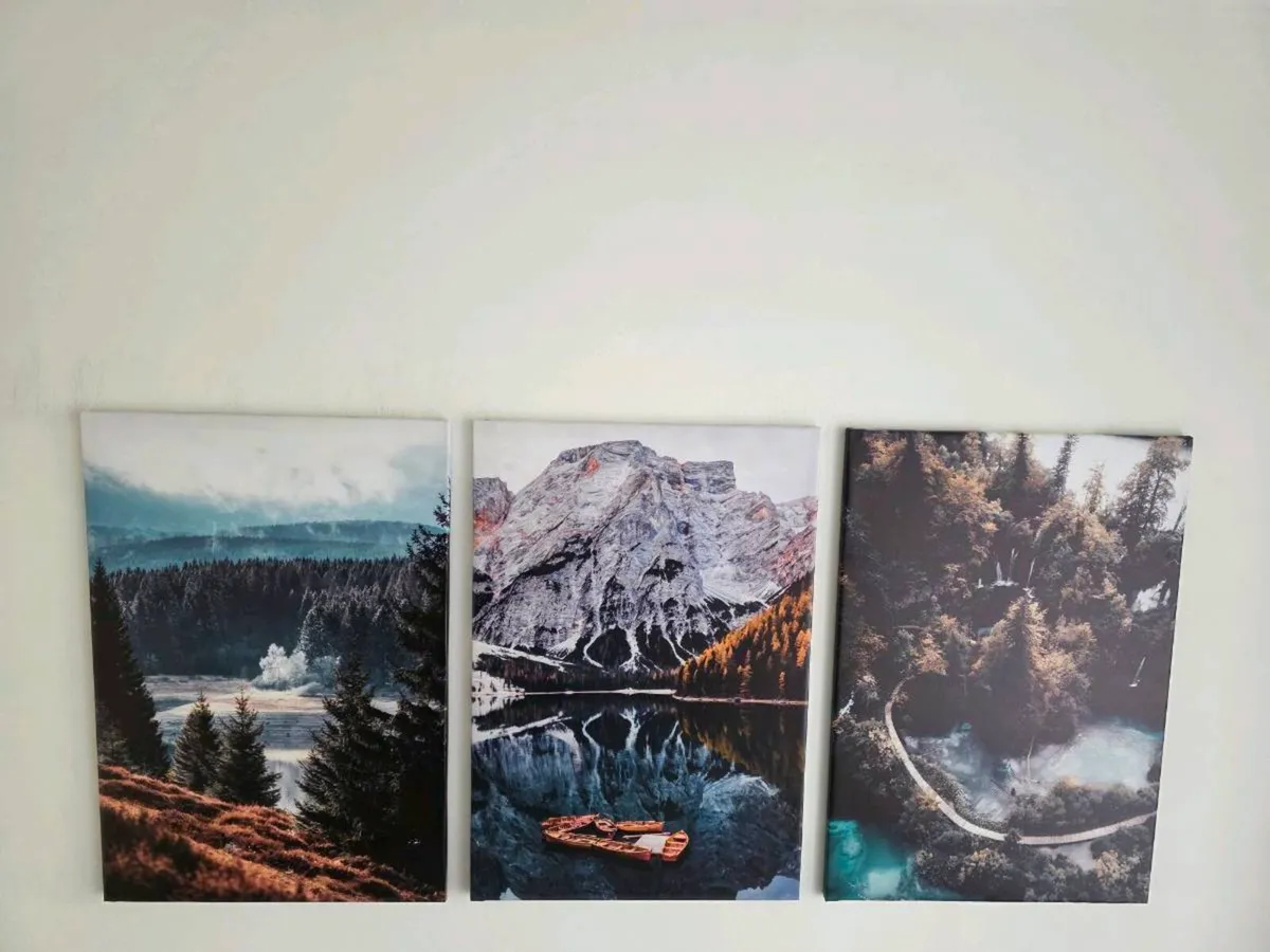 3 large canvas 46x66cm each - Image 2