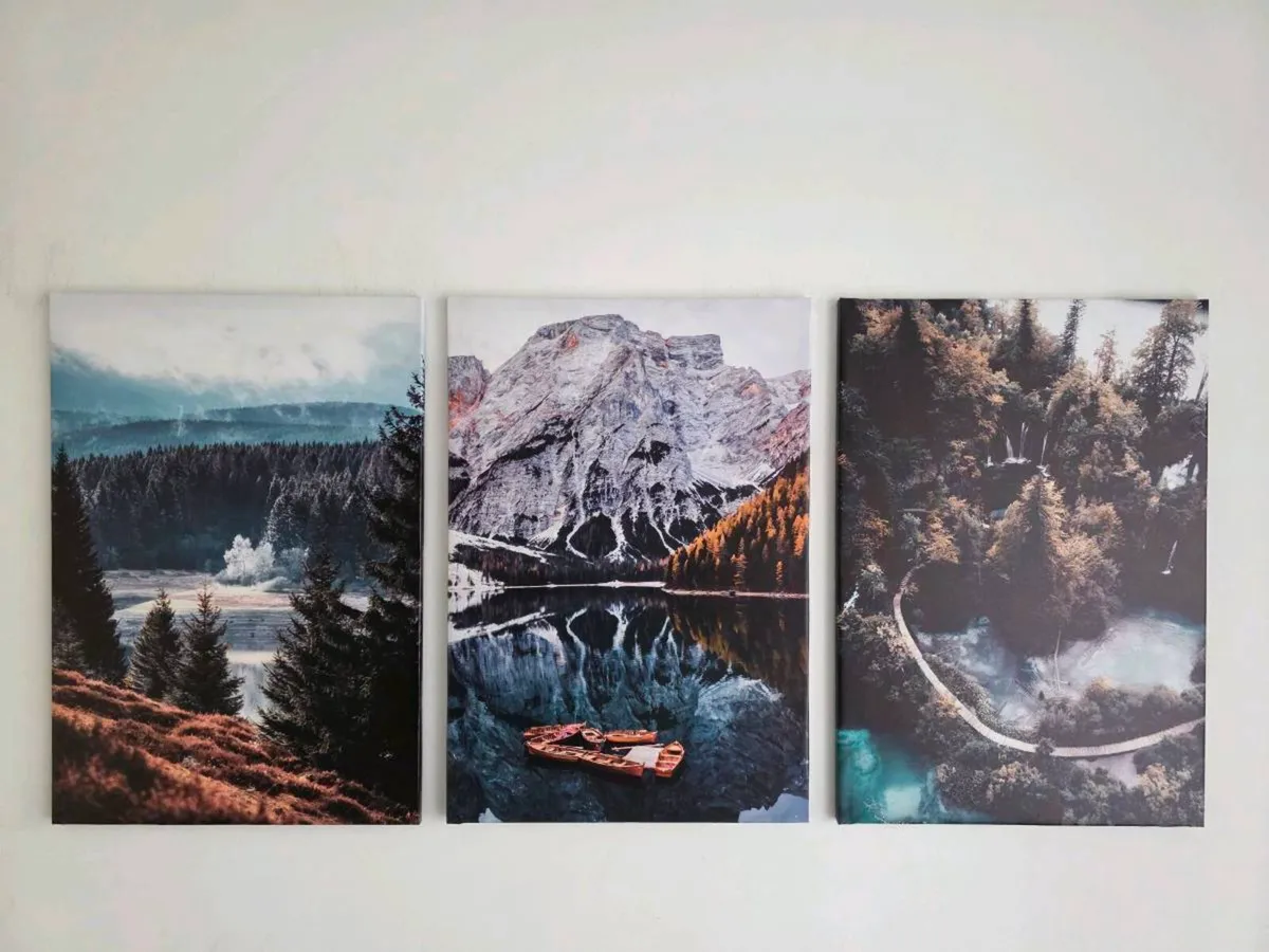3 large canvas 46x66cm each - Image 3