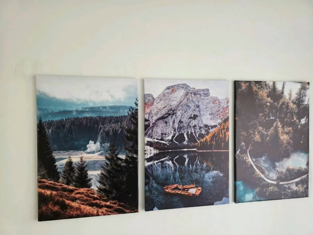 3 large canvas 46x66cm each - Image 4