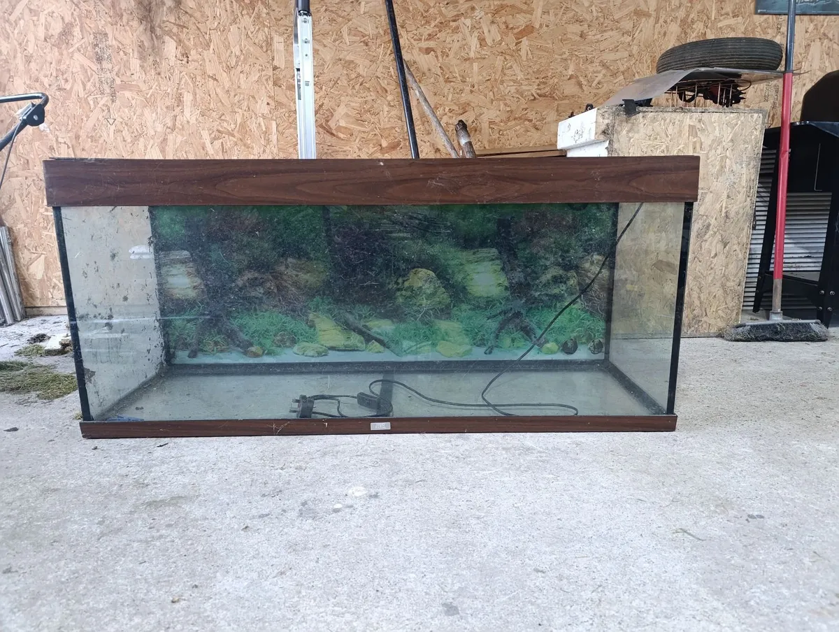 Fish tank / lizard vivarium