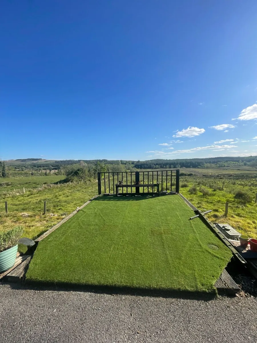 Artificial grass - Image 2