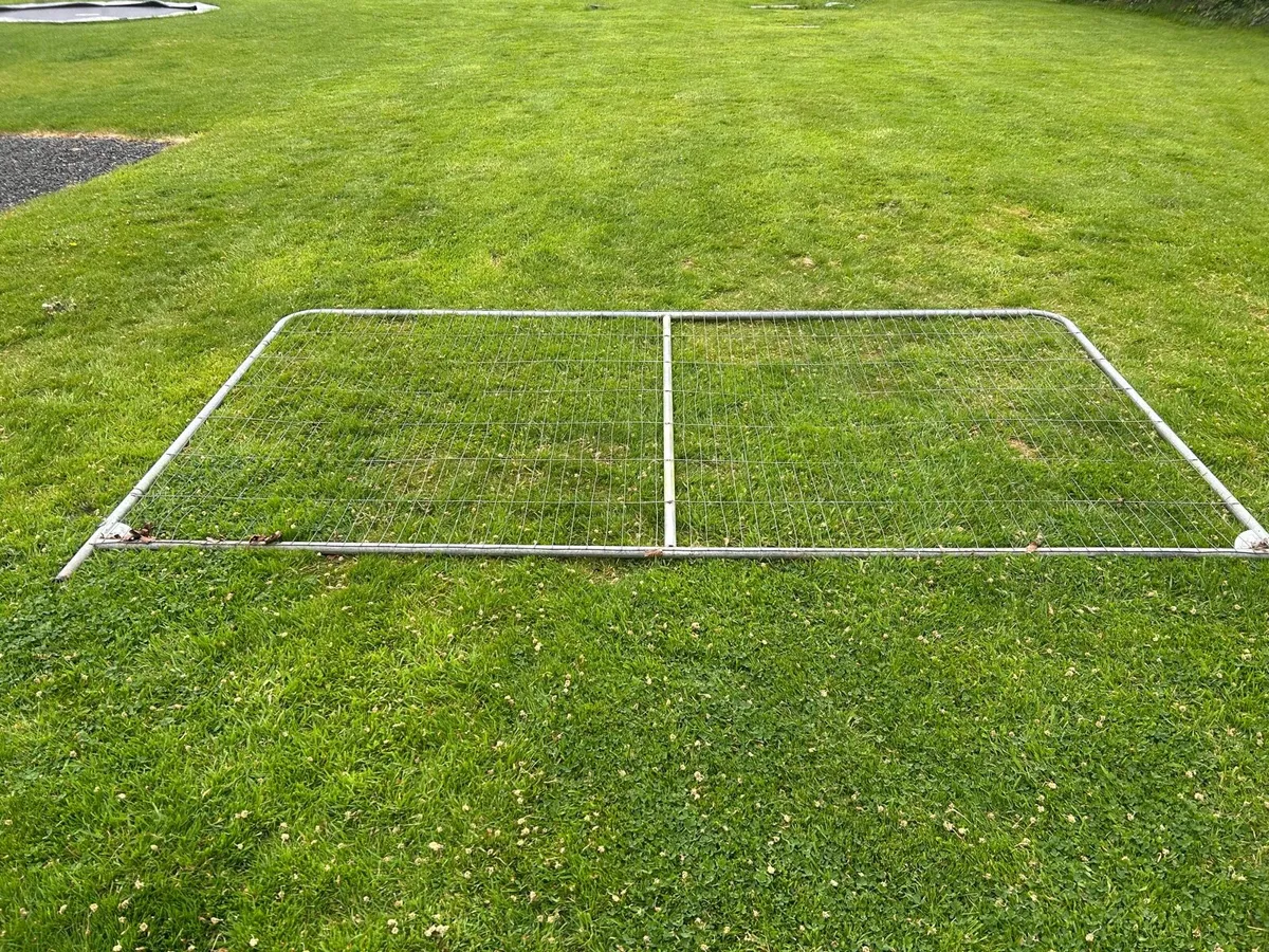 Heras fencing - Image 3