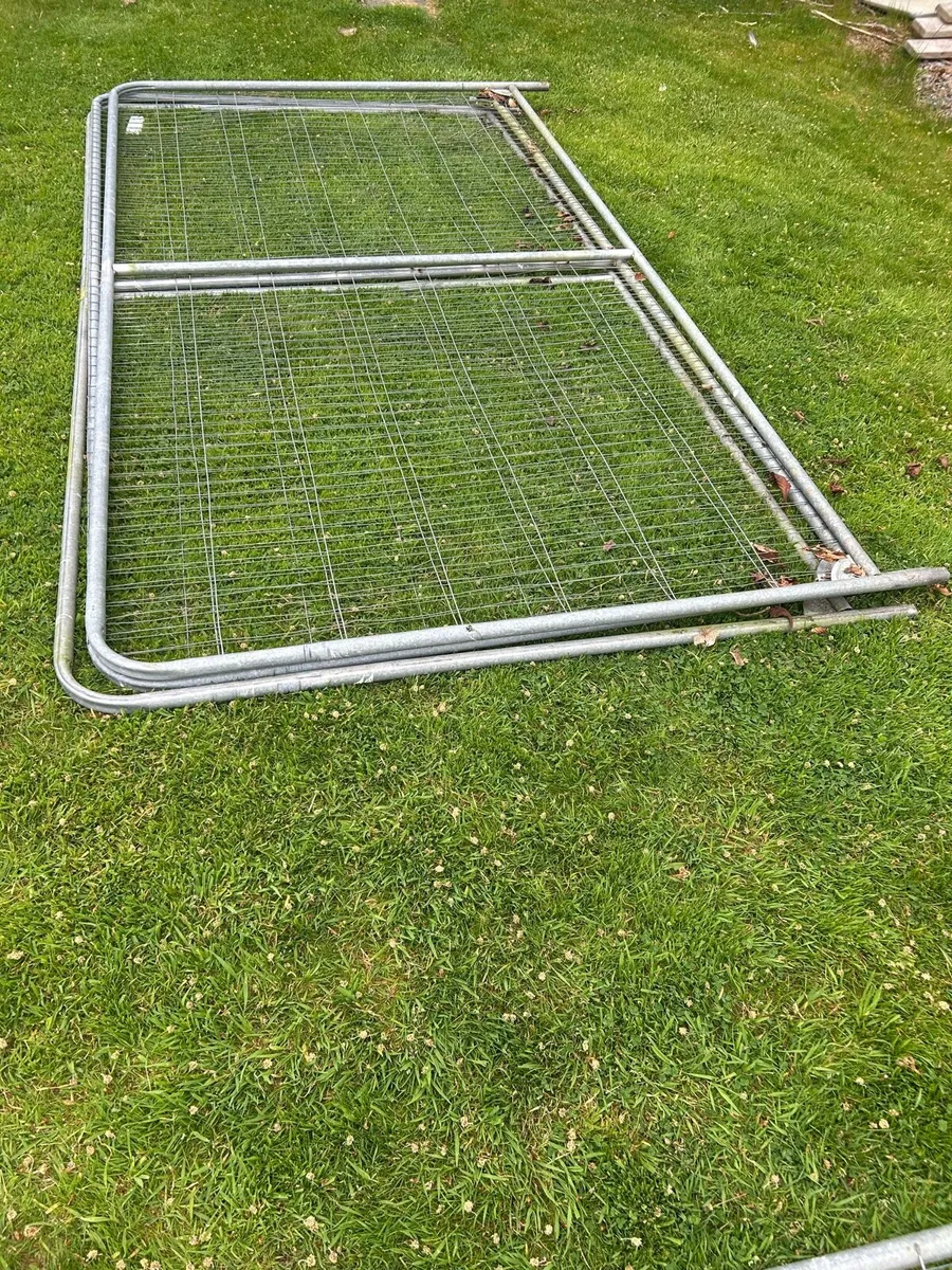 Heras fencing - Image 1