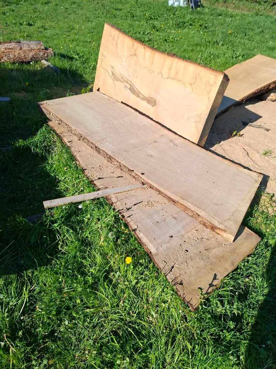 Oak slabs - Image 1