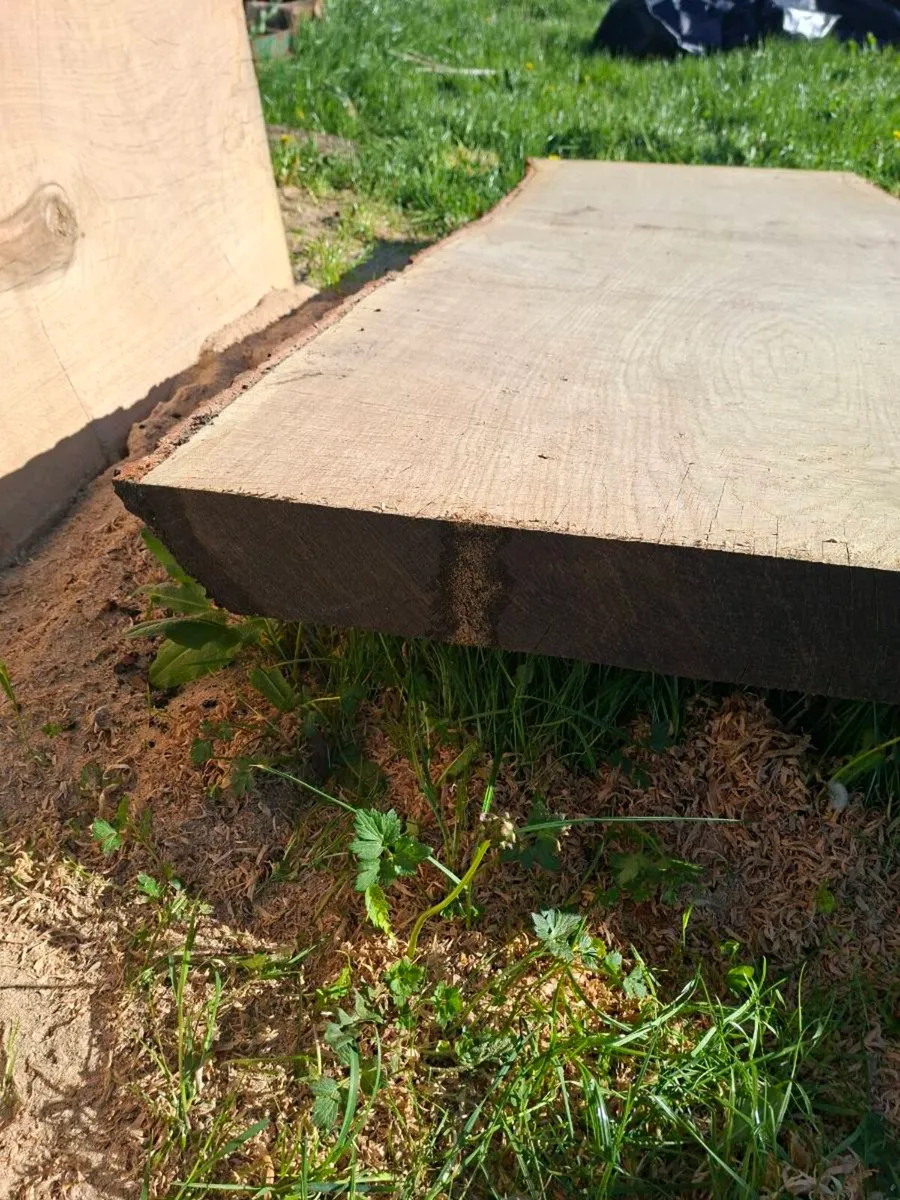 Oak slabs - Image 2