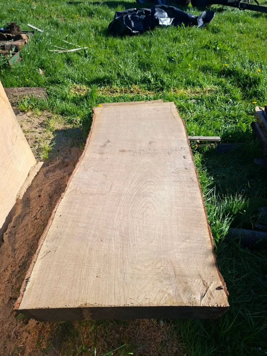 Oak slabs - Image 3