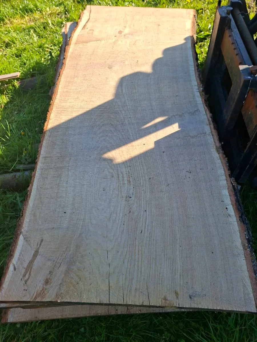 Oak slabs - Image 4