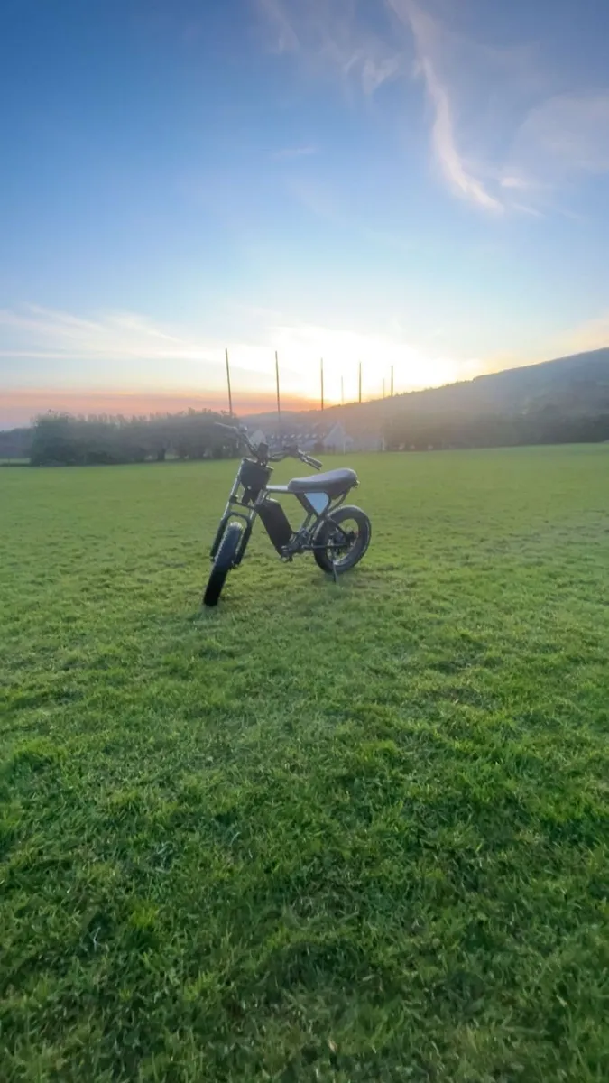 Electric bike - Image 1