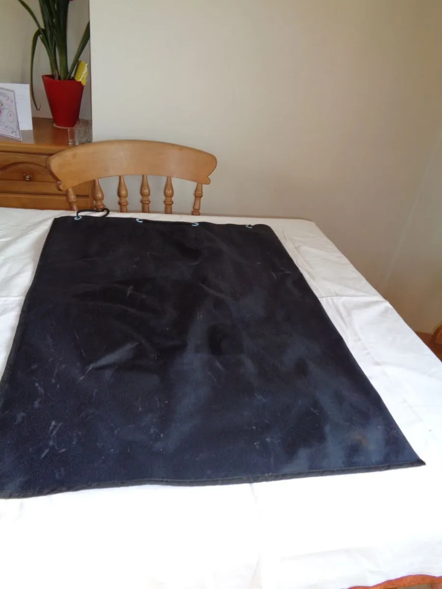 Carrier/Storage Bag for Dry/Wet Suit for Sale - Image 4