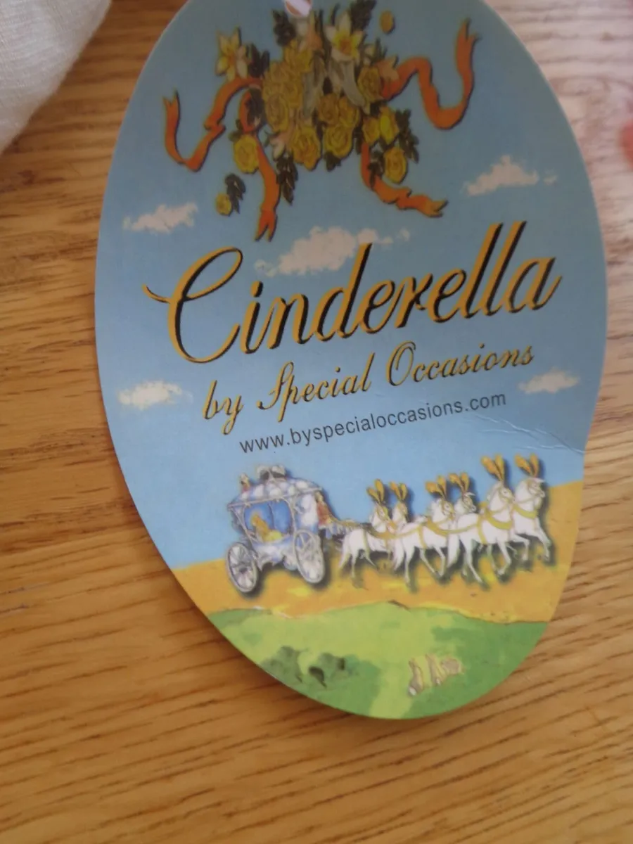 Cinderella Dress for Sale - Image 2