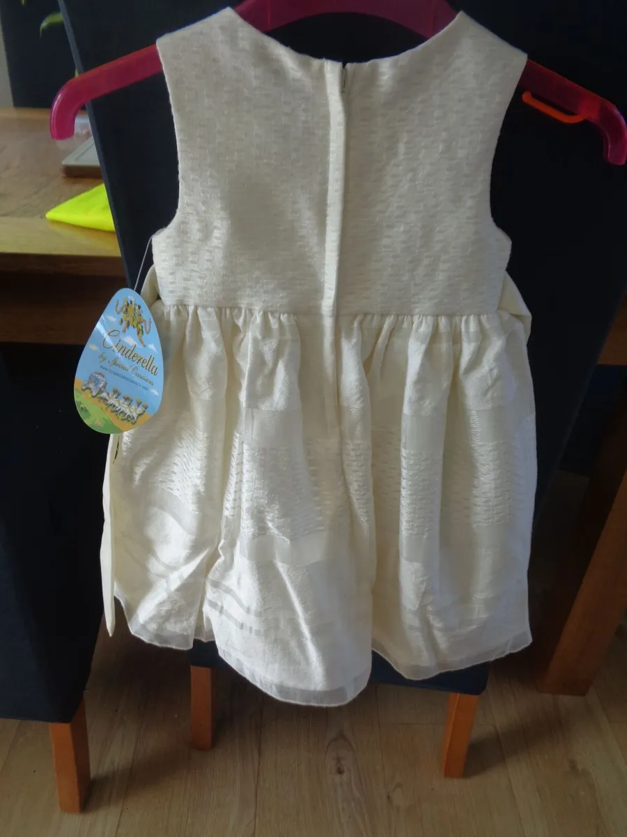Cinderella Dress for Sale - Image 4