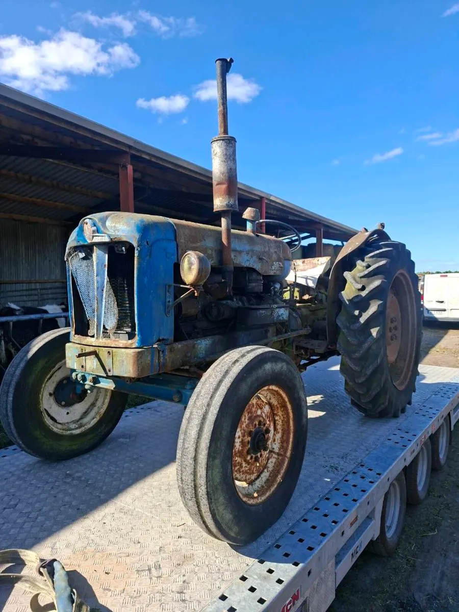FORDSON MAJOR - Image 2