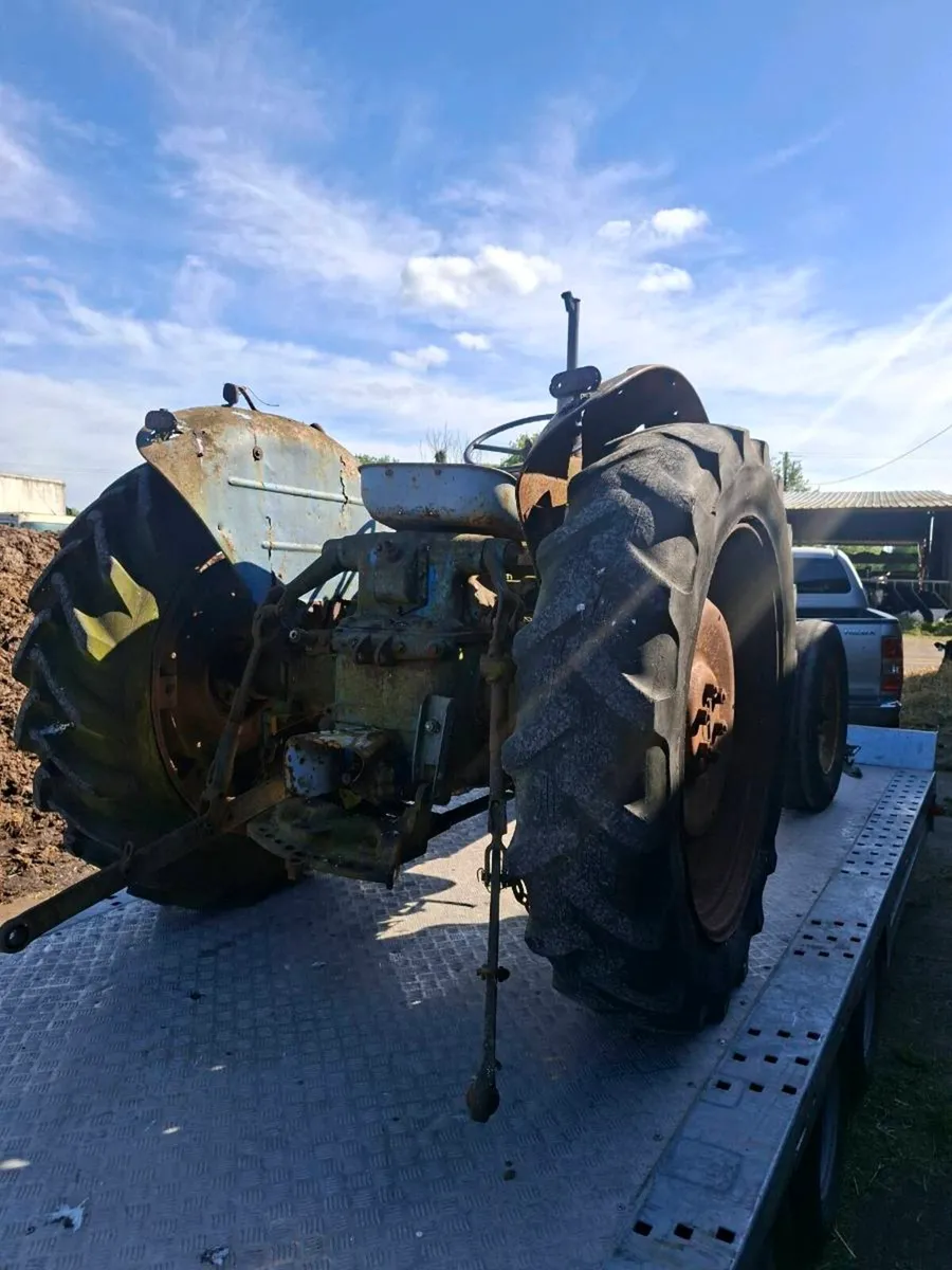 FORDSON MAJOR - Image 3