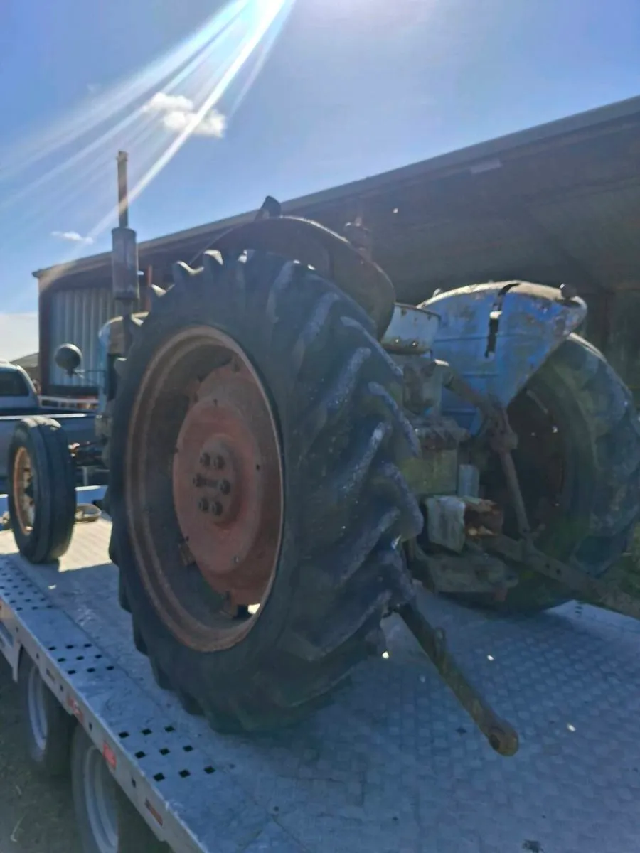 FORDSON MAJOR - Image 4