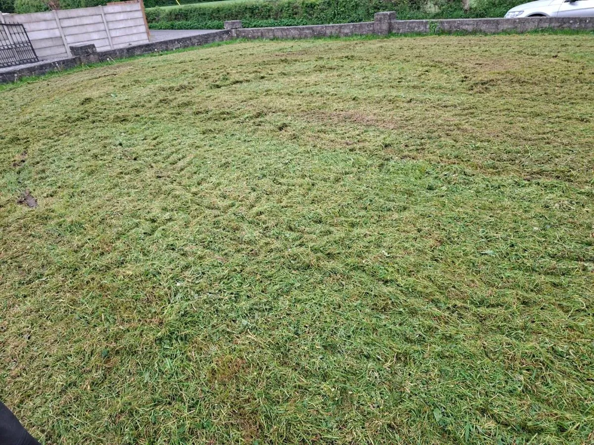 6ft mulcher - Image 4