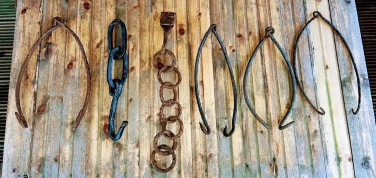 6 antique pot hooks and chains