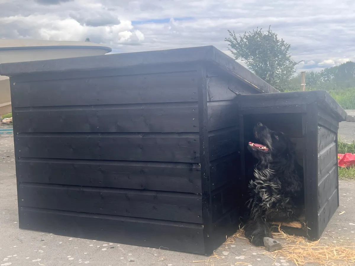 Dog Kennels insulated - Image 2