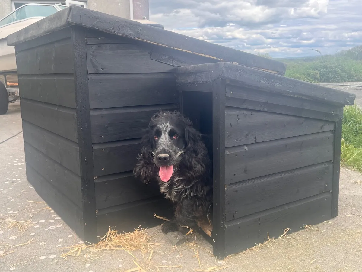 Dog Kennels insulated - Image 1