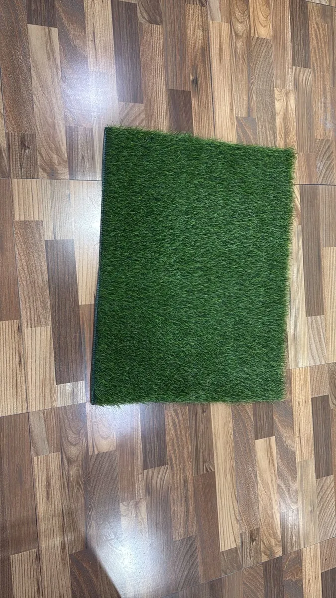 Artificial Grass - Image 2