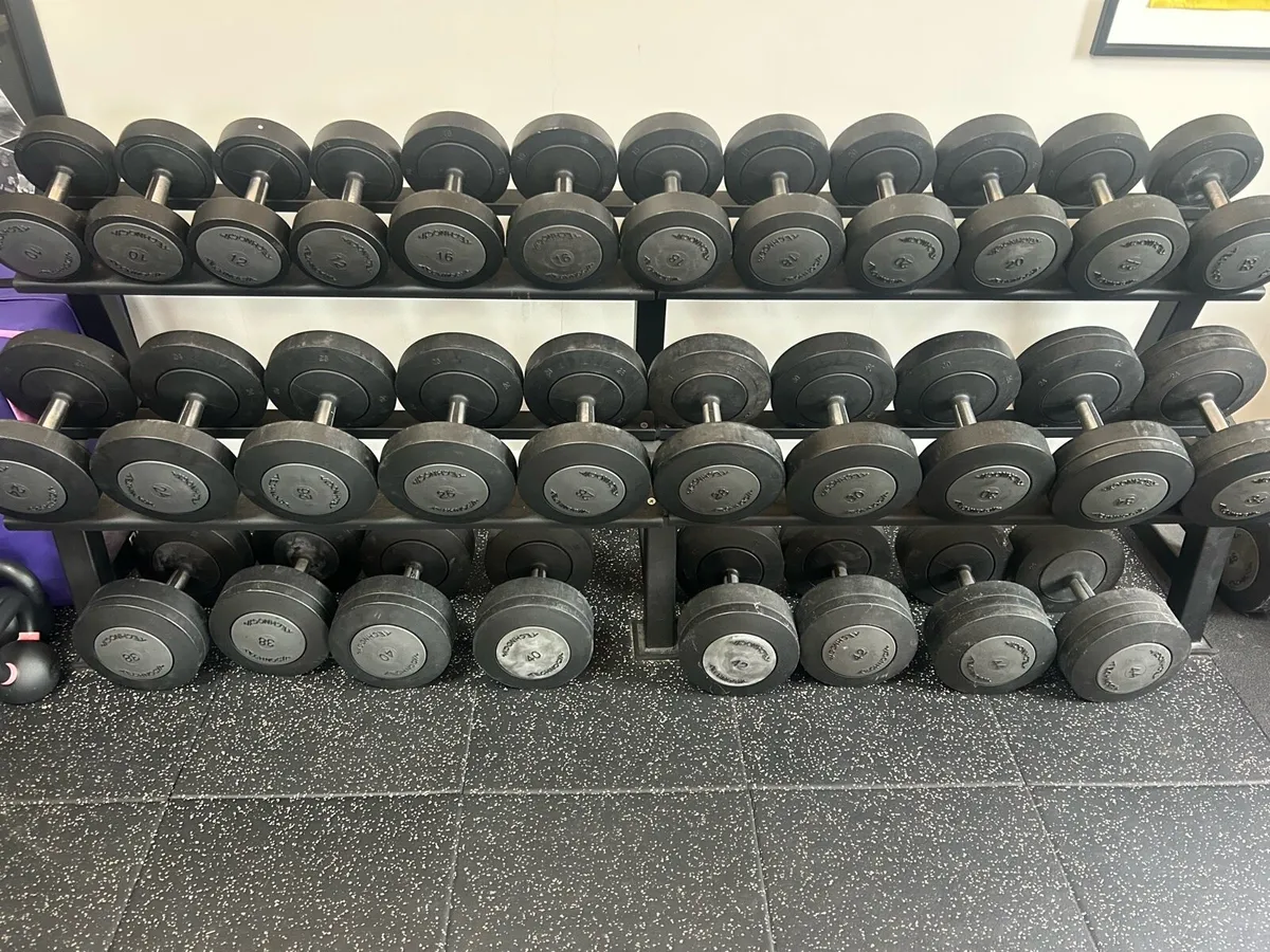 Technogym Dumbbells - Image 1