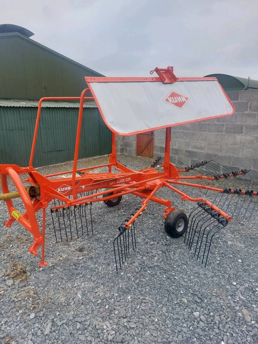Single rotor rake - Image 1