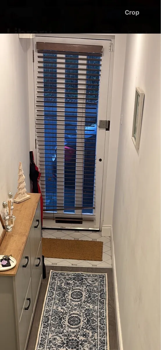 Blinds for door - Image 1