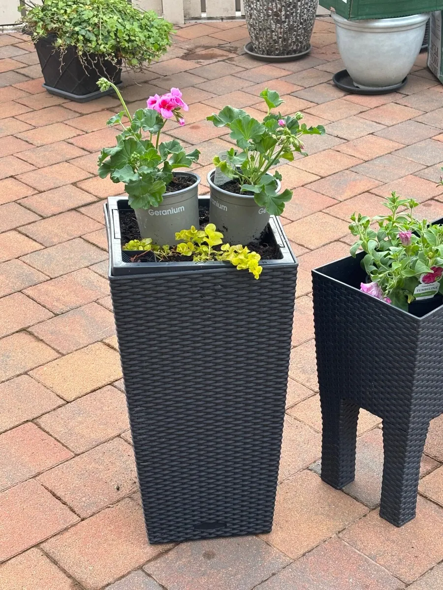 Planters - Image 1