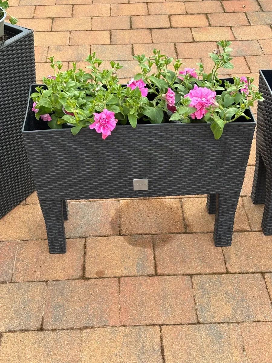 Planters - Image 3