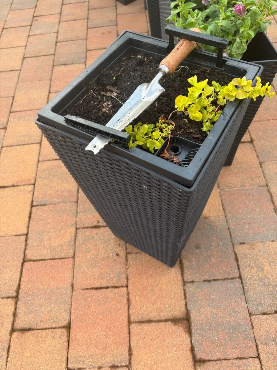 Planters - Image 4