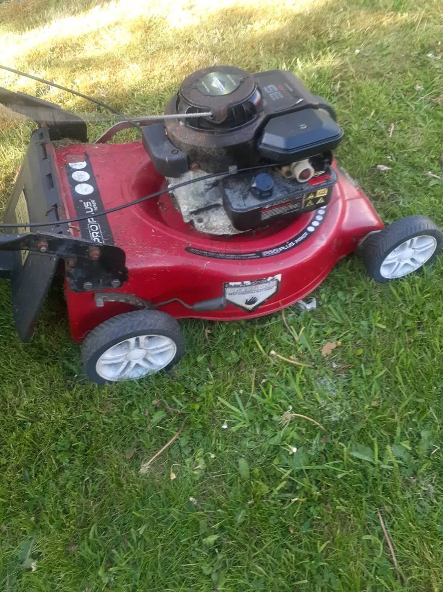 Briggd and Stratton push mower - Image 2
