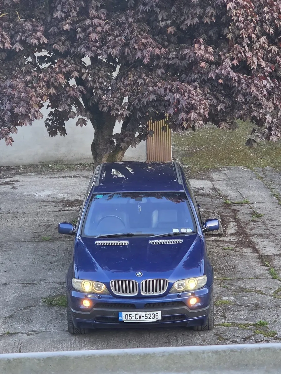 BMW X5 E53 4.8is Le Mans Blue Rare - Image 2