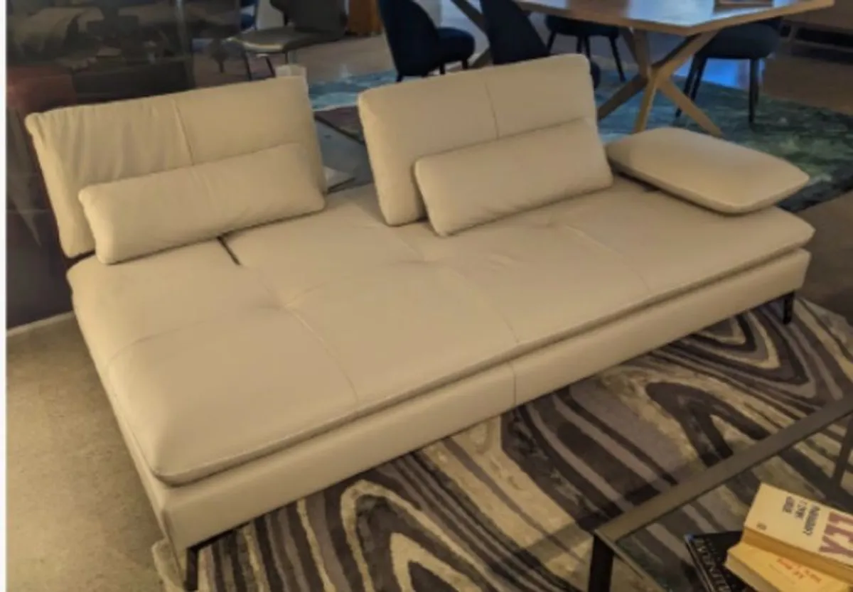 Roche Bobois Sofa - Image 1