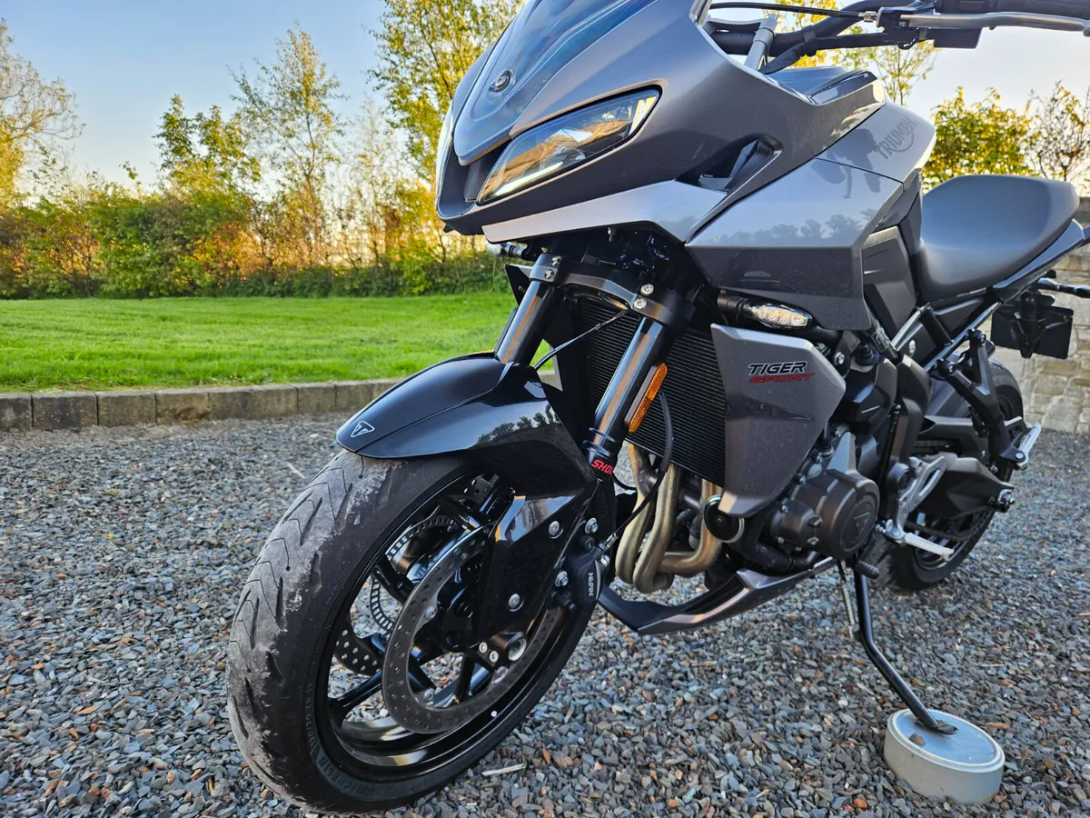 2023 Triumph 660 Sports - Image 4