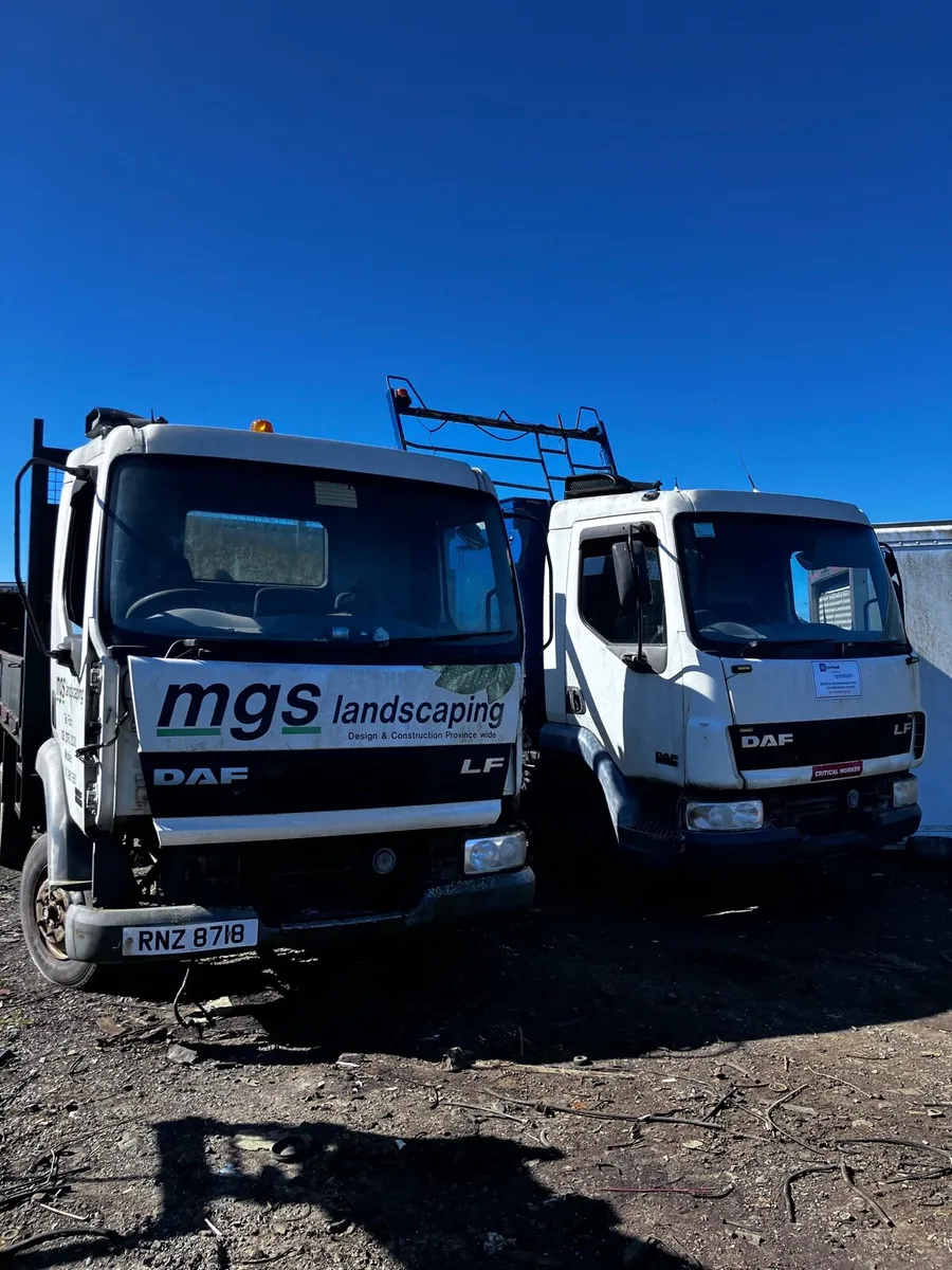 Breaking Daf lf Iveco - Image 1