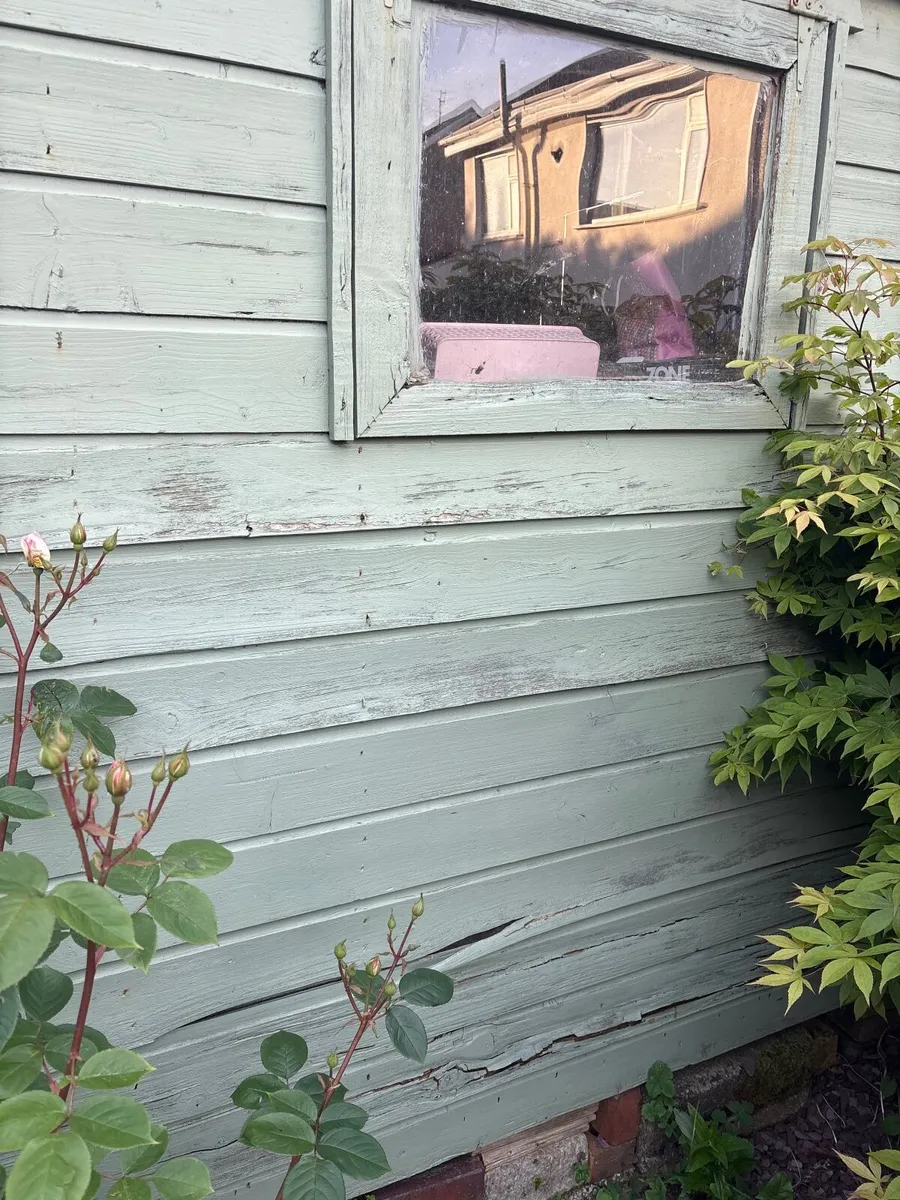 Shed - Image 3