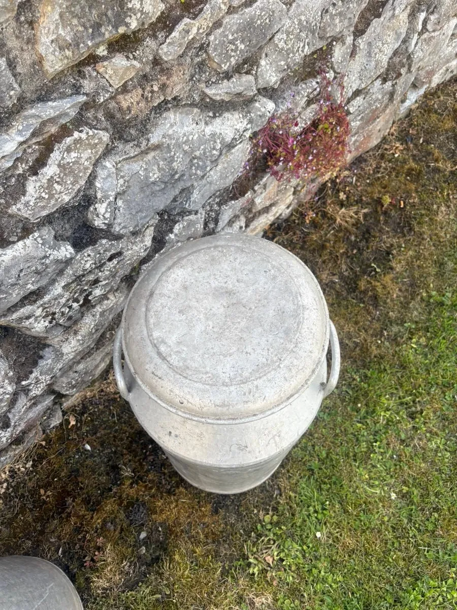 Milk churns - Image 1