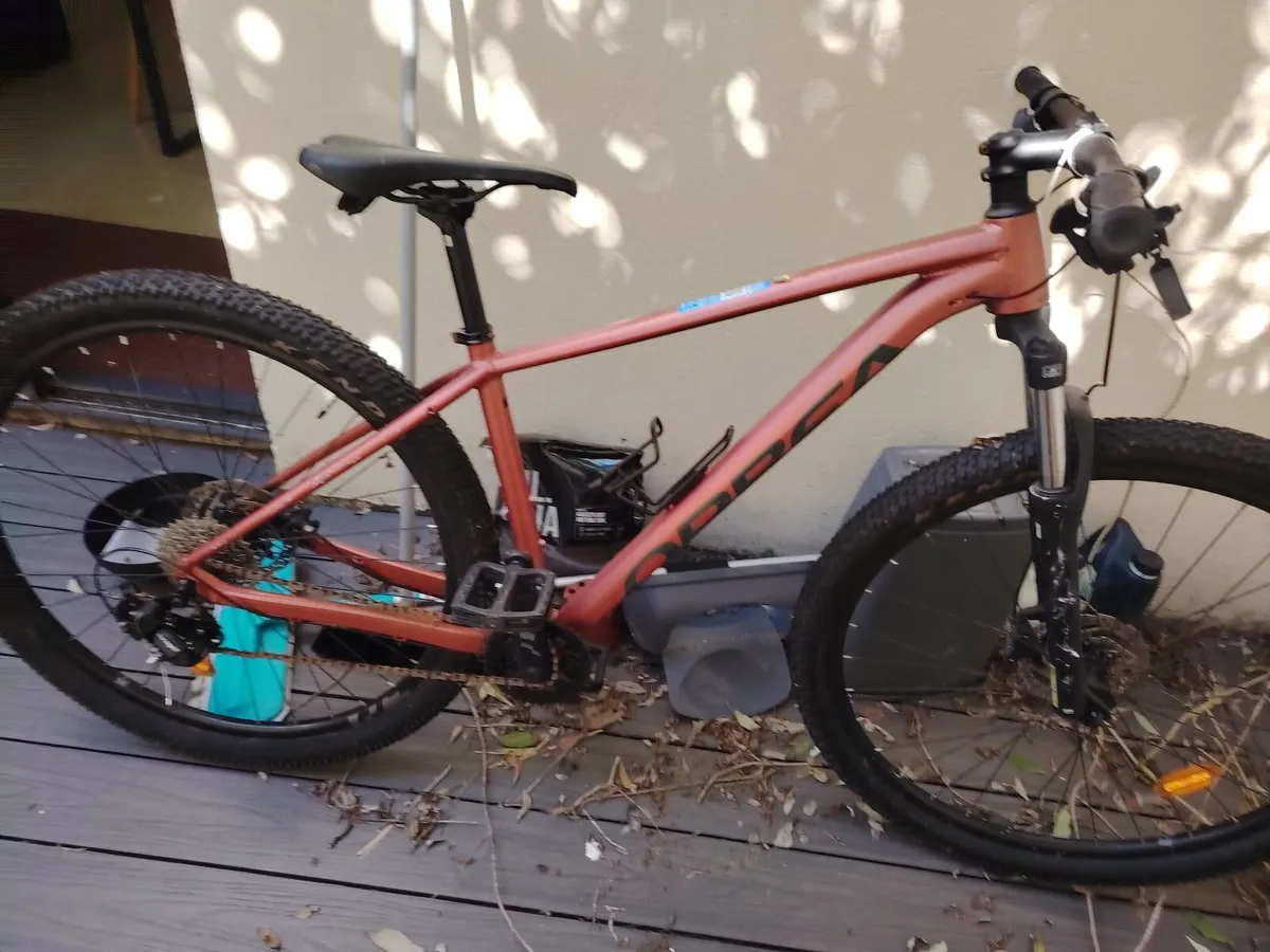 Bike - Image 1