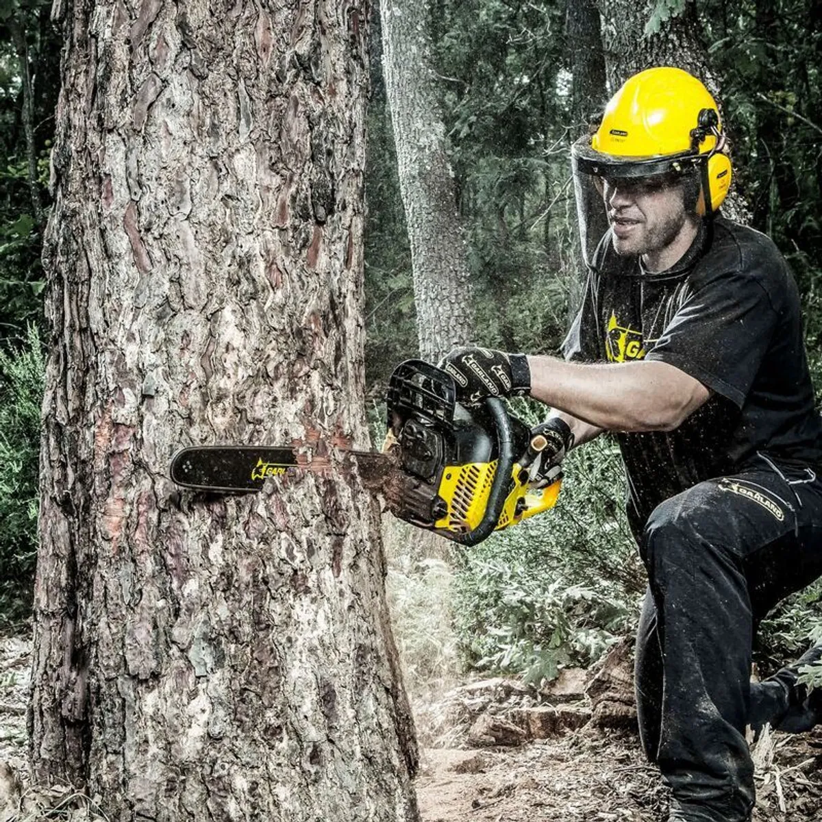 Garland Chainsaws 5 Year Warranty - Image 2