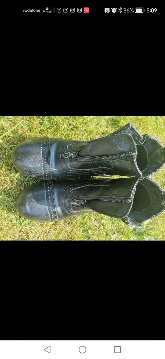 Horse Riding Accessories - Image 2
