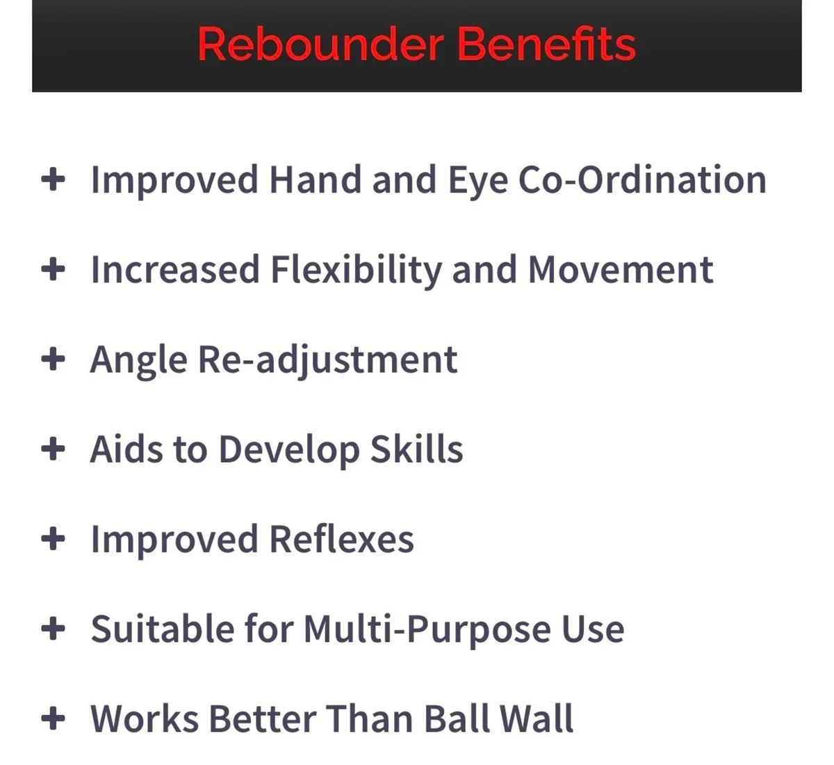 Rebounder - Image 2