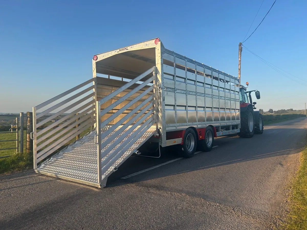 🔴 New Nugent 20ft livestock Trailer🔴 - Image 4