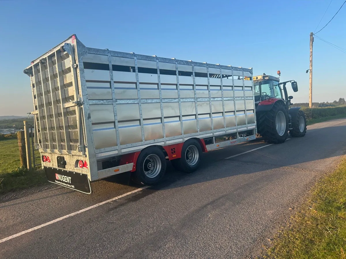 🔴 New Nugent 20ft livestock Trailer🔴 - Image 2