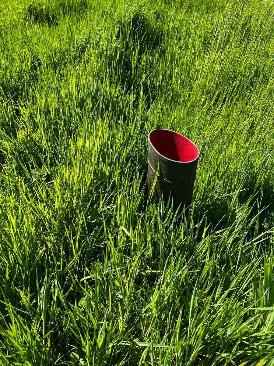 Standing Grass - Image 4