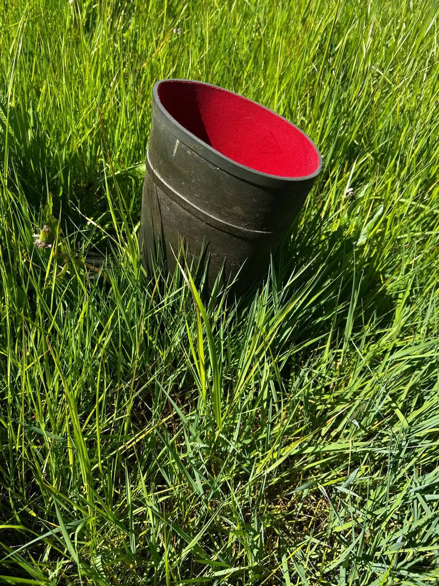 Standing Grass - Image 2