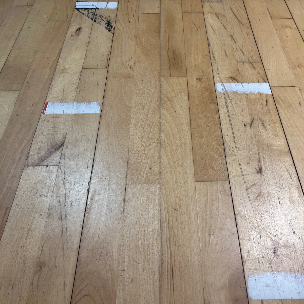 Beech Gym Flooring - Image 1