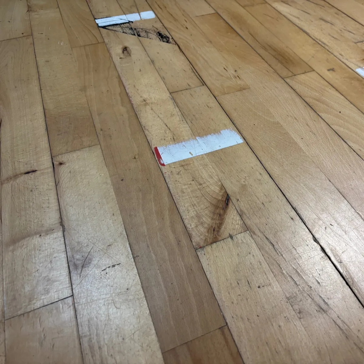 Beech Gym Flooring - Image 2