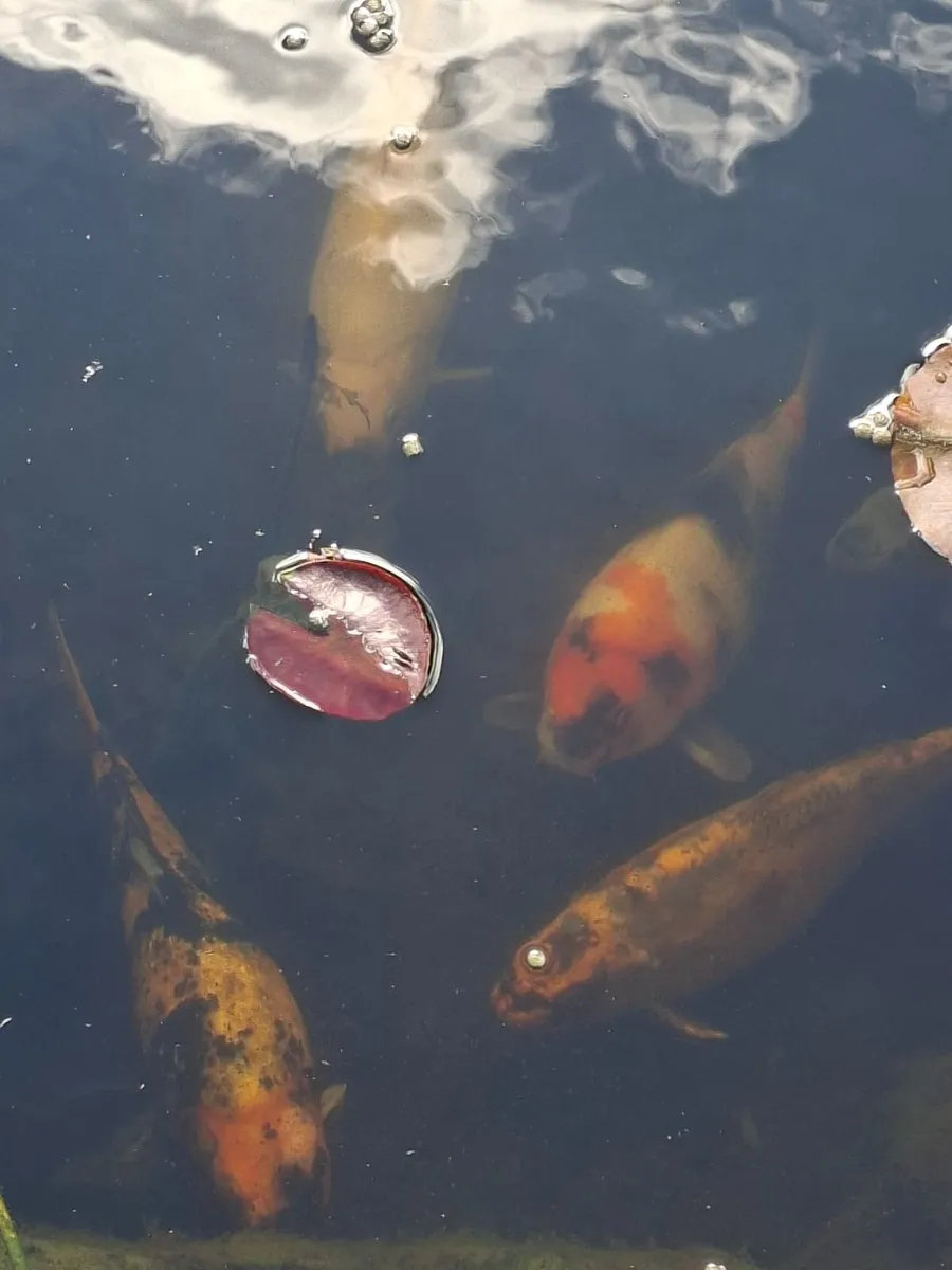 Koi fish - Image 1